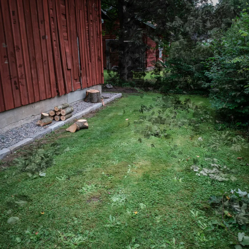 trad fallning arborist tradplantering gnesta sormland